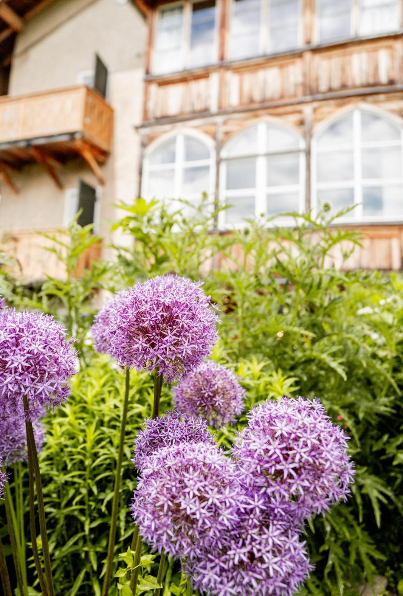 Der Zirmerhof Redagno Esterno foto